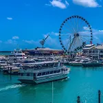 Artful Luxury In Miami Most Iconic Spot